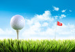 Golf ball with tee in the grass