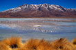 lagune Bolivie