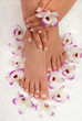 Photo en ligne au meilleur prix Pedicure