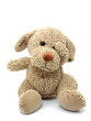 Dog Toy