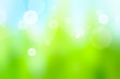 fresh wet grass in sun rays, closeup