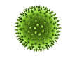 Pollen - Nahaufnahme