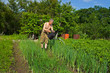 Man with sprinkling can 6 Man with sprinkling can 6