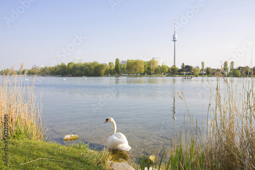 Photo: An der Alten Donau An der Alten Donau