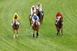 couses de chevaux couses de chevaux