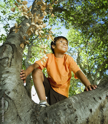 Photo: Hispanic boy climbing tree Hispanic boy climbing tree
