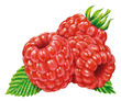 Himbeeren