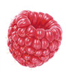 Himbeere