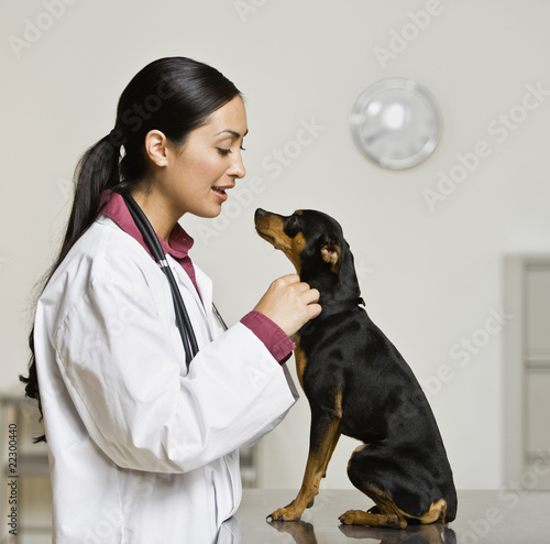 Photo: Hispanic female veterinarian petting dog Hispanic female veterinarian petting dog
