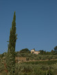 Villa in Tuscany amongst vineyards and an olive groves