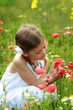 Pretty young girl holding a red poppy