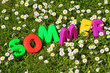 Sommer Schriftzug in Blumenwiese