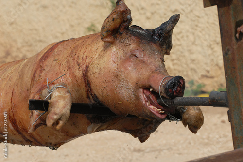 Photo: cochon a la broche sanglier cochon a la broche sanglier