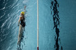 Schwimmtraining der Sportler im Hallenbad Schwimmtraining der Sportler im Hallenbad