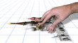 All Hands