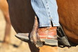 boot and stirrup