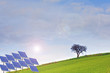 albero ad energia solare