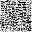 Colección de siluetas de animales salvajes