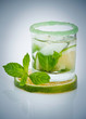 Little mojito Little mojito