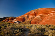 Painted Hills, Eastern Oregon, U.S.A.