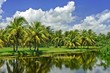 Fairchild tropical botanic garden