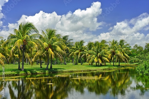 Photo: Fairchild tropical botanic garden Fairchild tropical botanic garden