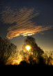 Sunrise over a forest