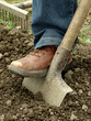 soil cultivation