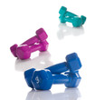 Various of dumbbells isolated on white