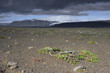 Gletscher