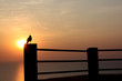 Sunset Point