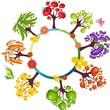vegetable set