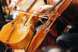 Streichinstrument