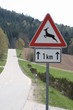 Wildwechsel 1