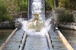 Wasserbahn im Erlebnispark Tripsdrill