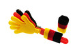 fussball wm 10