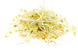 pousses de haricot mungo, pousses de soja, fond blanc