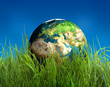 globe on grass