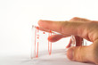 Schnapsglas
