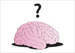 Vector brain