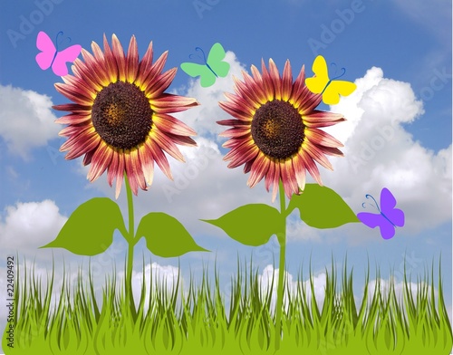 Illustrazione: girasoli e farfalle girasoli e farfalle