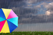 colored umbrella