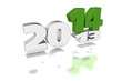 Silvester 2014, grün weiss