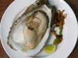 Fresh oysters