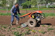 A worker driving a tractor A worker driving a tractor