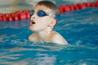 Brustschwimmen