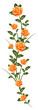 pattern of painted roses on white isolated background pattern of painted roses on white isolated background