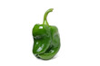 green pepper