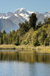 Fox Glacier