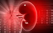 Kidney Kidney